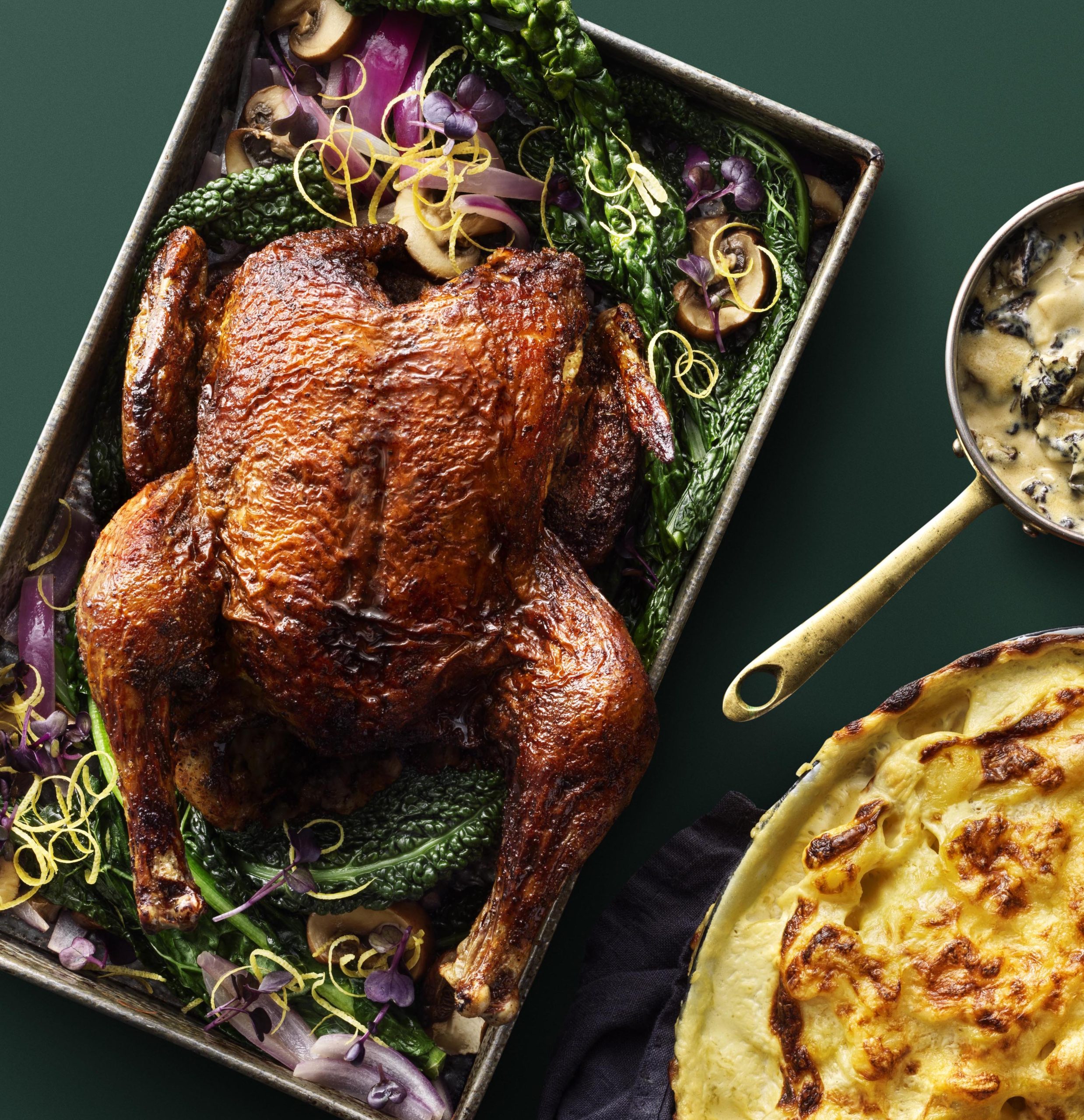 bosarp_grund_1000x1000px