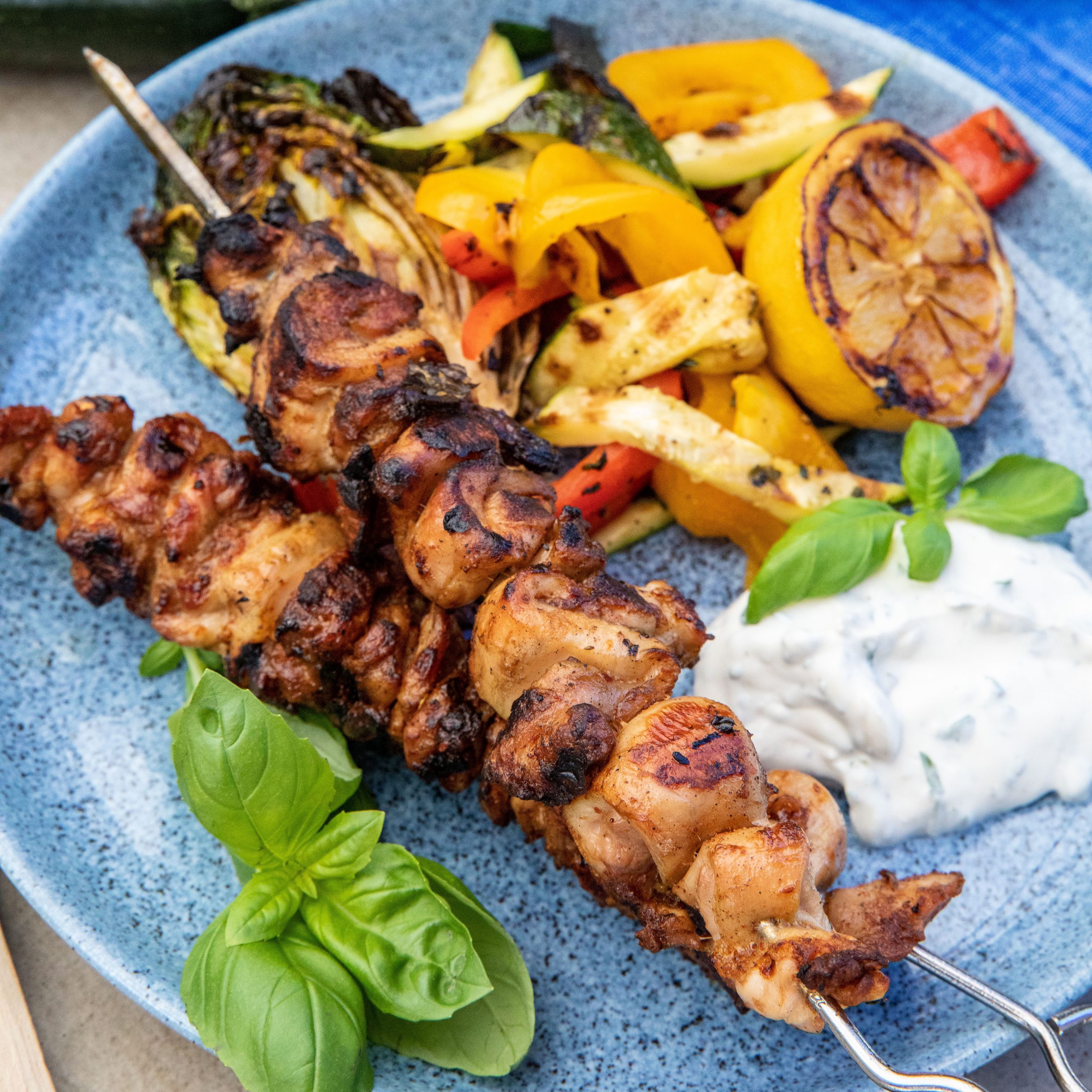 1000x1000 spettkronfågel-4